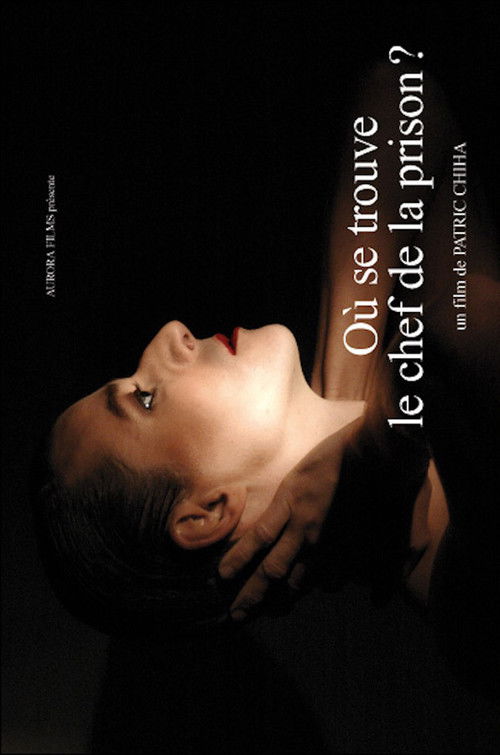 Where Is the Head of the Prison? (2008) poster