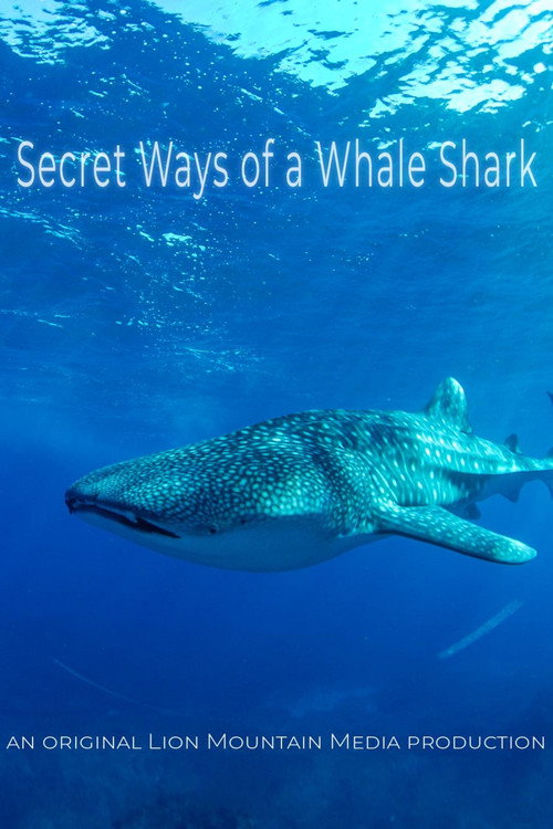 Le long voyage d'un requin-baleine (2024) poster