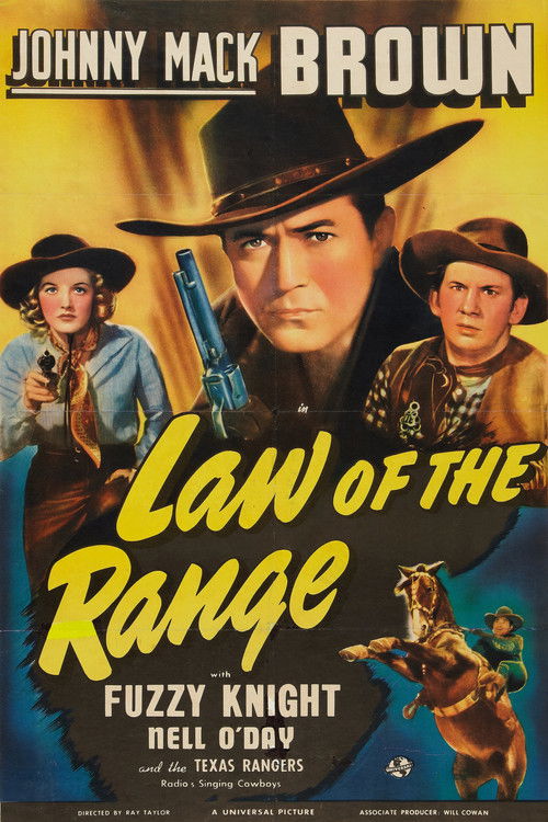 Law of the Range (1941) poster