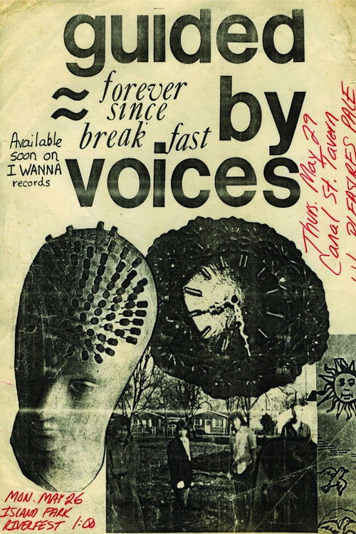 Thank You Very Much For Absolutely Nothing (2021) poster