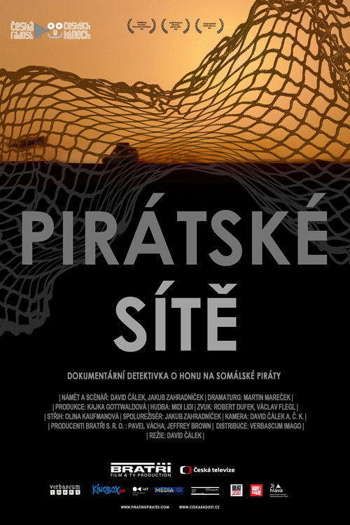 Pirating Pirates (2014) poster