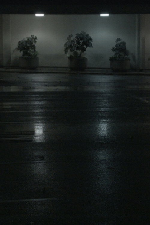 Night Swells (2015) poster