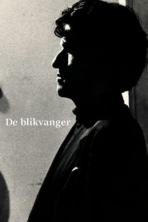 De blikvanger (1989) poster