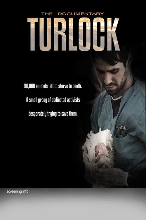 Turlock (2013) poster