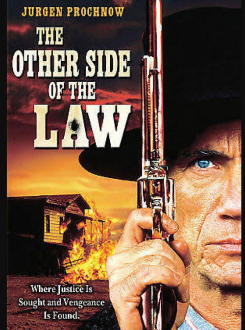 The Other Side of the Law (1994) poster