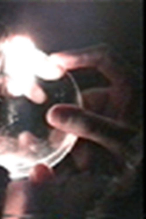 Subverted Horseplay (1994) poster