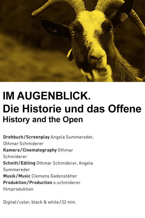 Im Augenblick. Die Historie und das Offene (2013) poster