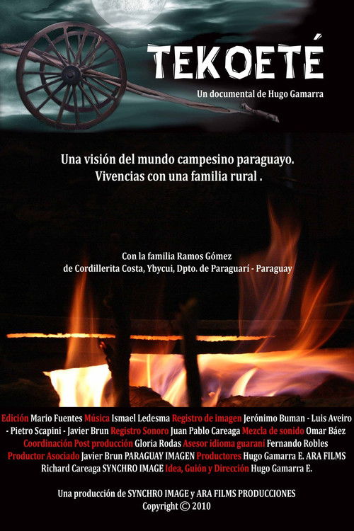 Tekoeté: Manera auténtica de ser (2010) poster