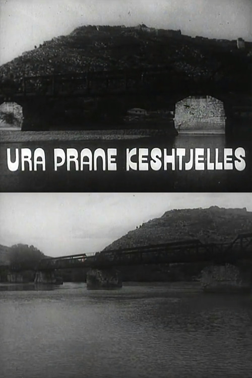 The Bridge Under the Castle (1985) poster