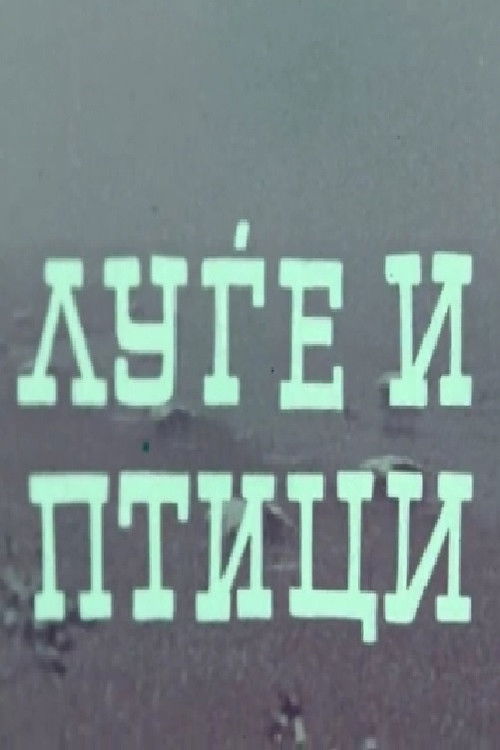 People and Birds (1973) poster