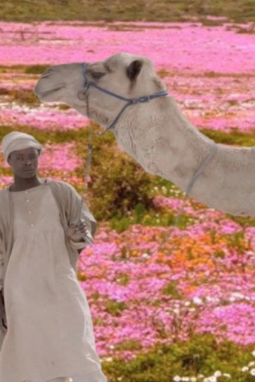 The Future Was Desert poster