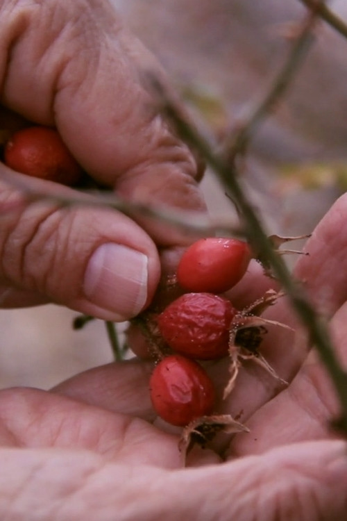 SemiYa (2015) poster