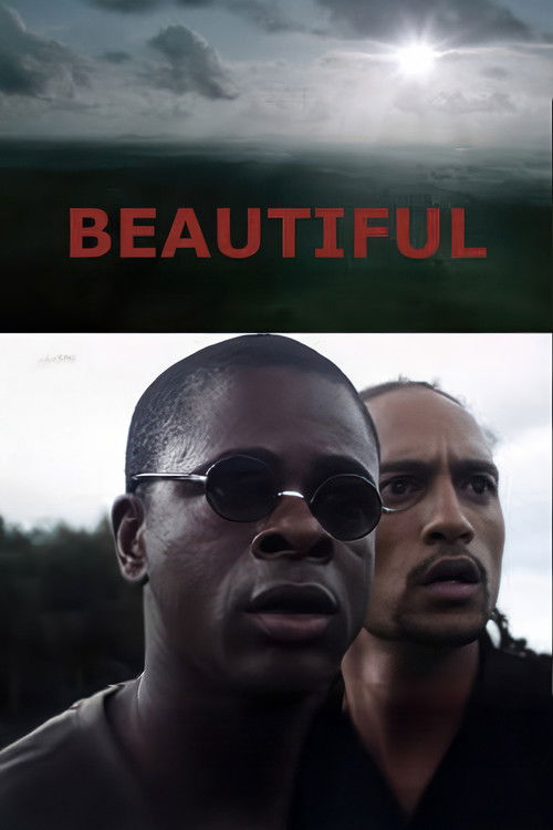 Beautiful (2011) poster