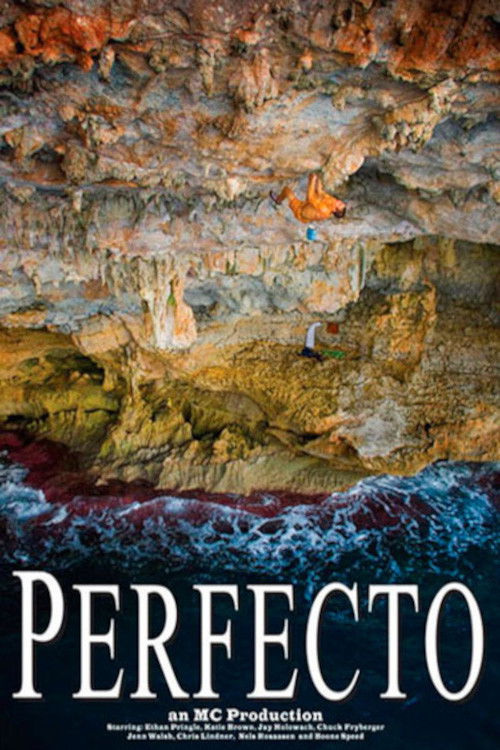 Perfecto (2008) poster