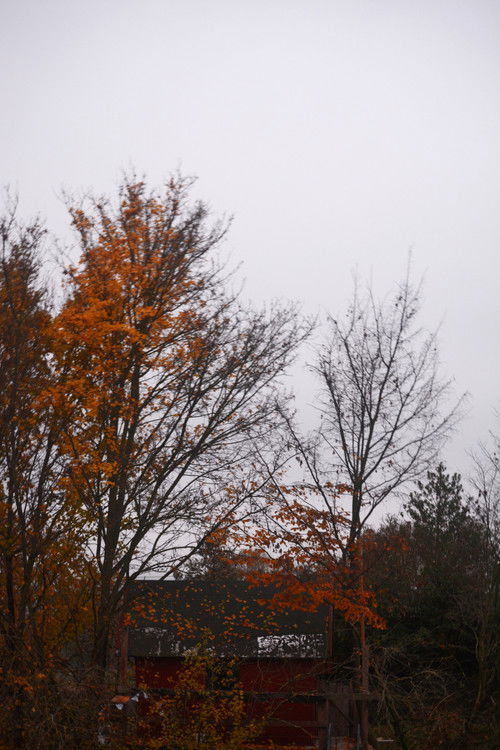 Die Farben von... (2021) poster