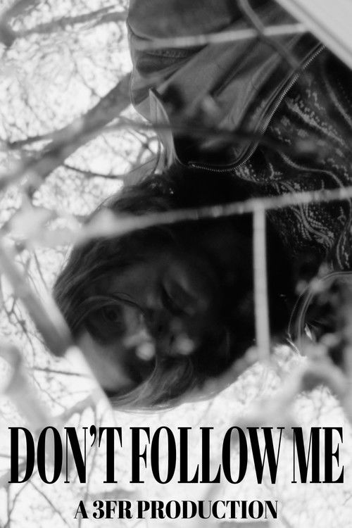 Don't Follow Me (2025) poster