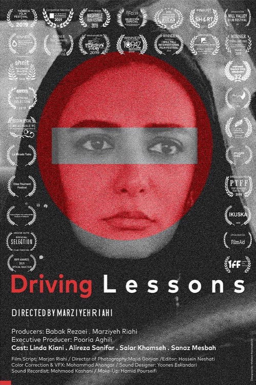 Driving Lessons (2019) poster