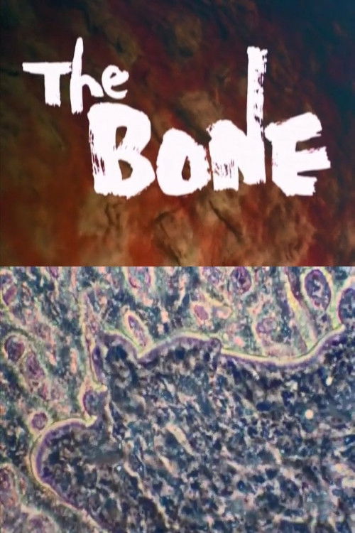 THE BONE (1982) poster