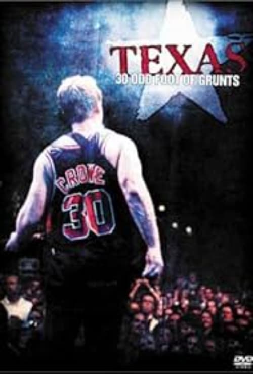 Texas (2002) poster