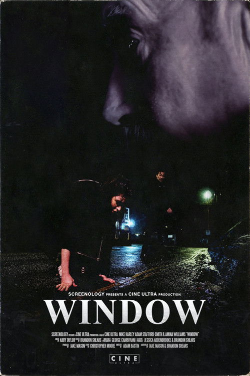 Window (2019) poster