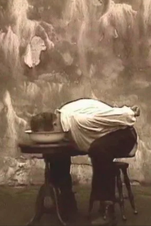 Power Showers (1998) poster