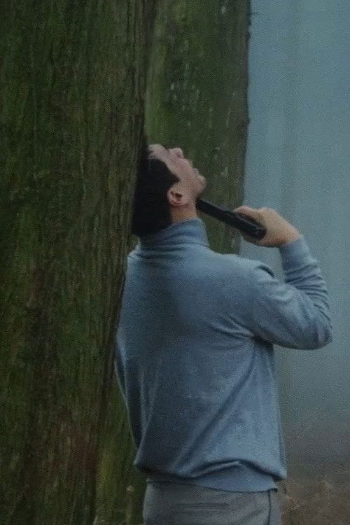 Man In The Fog (2024) poster