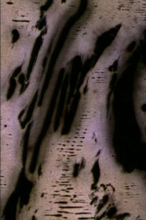 Motion of Light (2004) poster