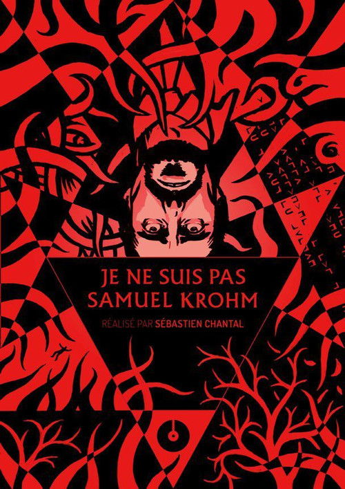 I Am Not Samuel Krohm (2013) poster