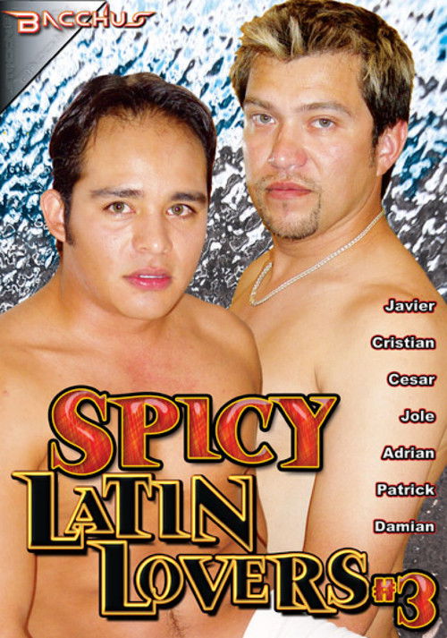 Spicy Latin Lovers 3 (2011) poster