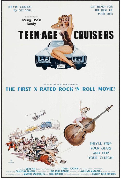 Young, Hot 'n Nasty Teenage Cruisers (1977) poster