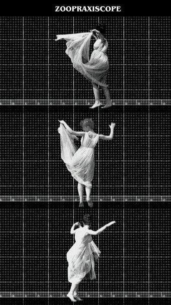 Zoopraxiscope (2005) poster