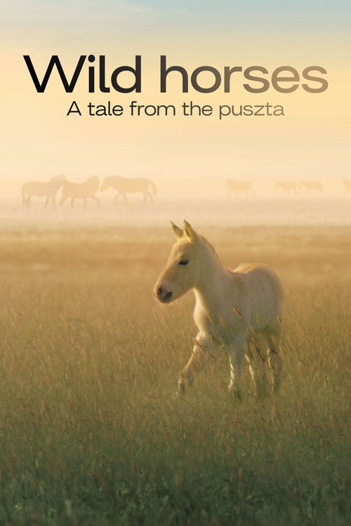 Wild Horses - A Tale From The Puszta (2021) poster