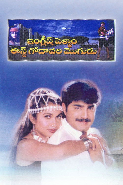 English Pellam East Godavari Mogudu (1999) poster