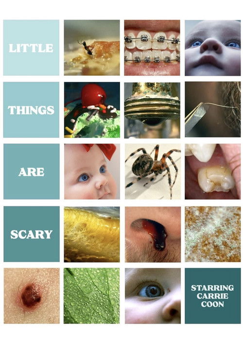 Little Things Are Scary (2023) poster