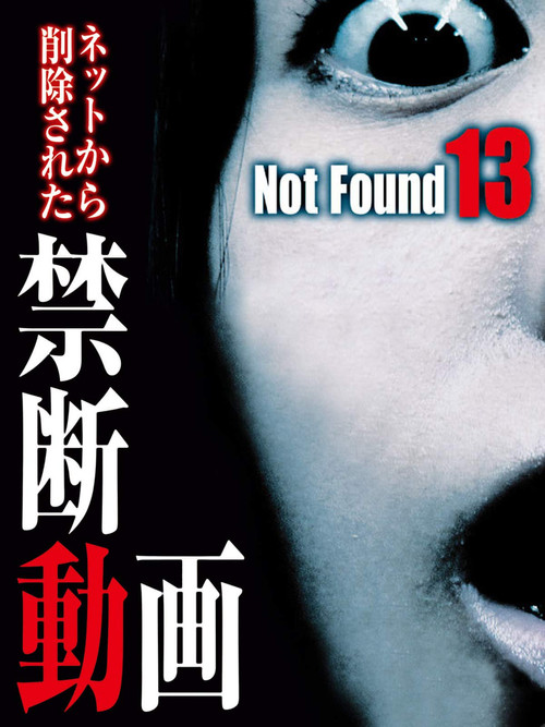 Not Found 13 (2014) poster