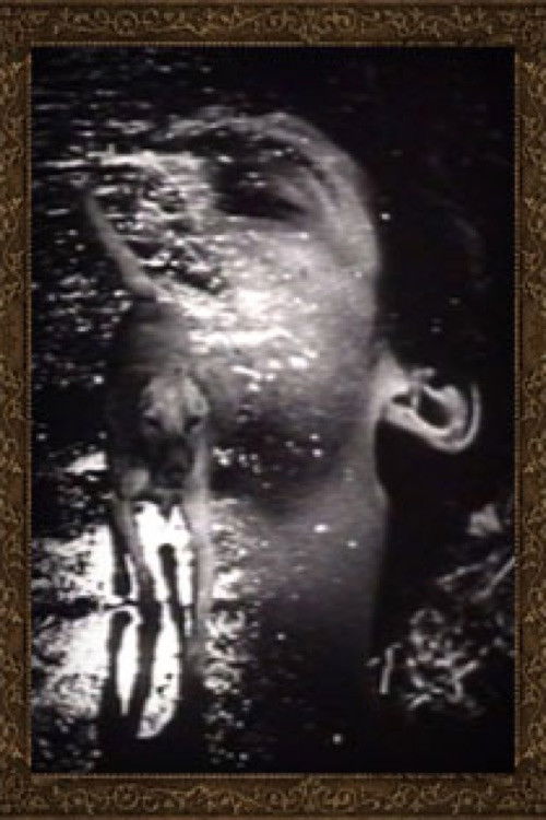 Buñuel (1989) poster