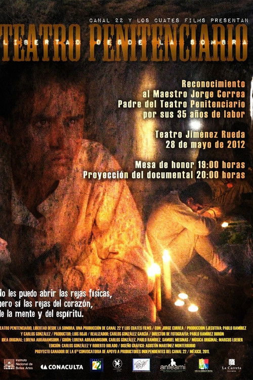 Teatro Penitenciario: Libertad Desde La Sombra (2012) poster