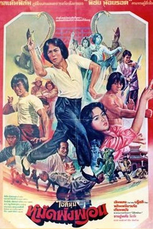 Fearless Master (1980) poster