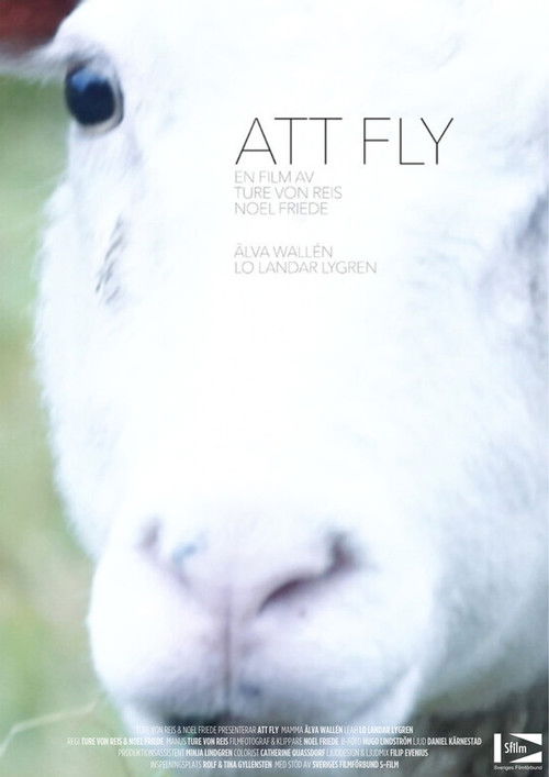 Att fly (2024) poster