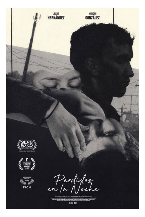 Lost in the Night (2020) poster