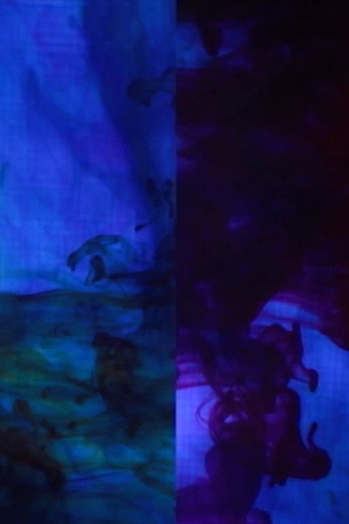 After Synchromy (2014) poster