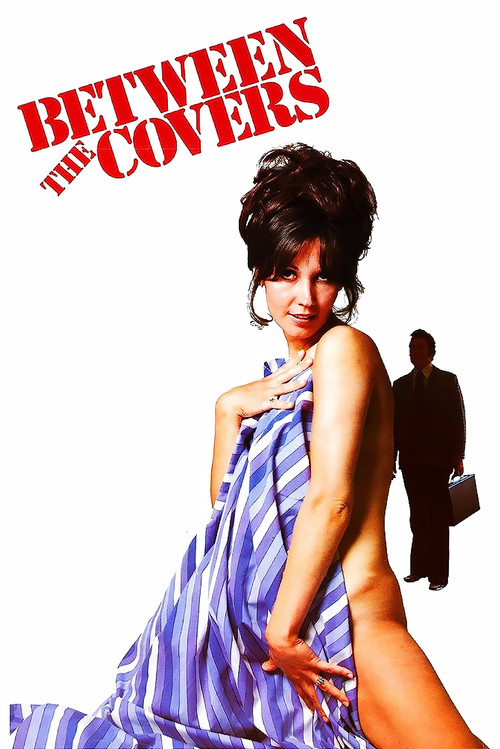 Liebe zwischen Tür und Angel - Vertreterinnen-Report (1973) poster