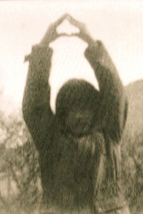 PYRAMID−破壊の記憶の走馬灯 (2015) poster