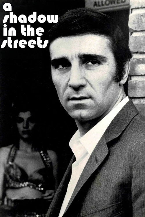 A Shadow in the Streets (1975) poster
