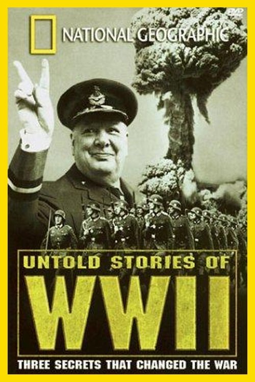 National Geographic: Untold Stories of World War II (1998) poster