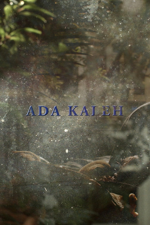 Ada Kaleh (2018) poster