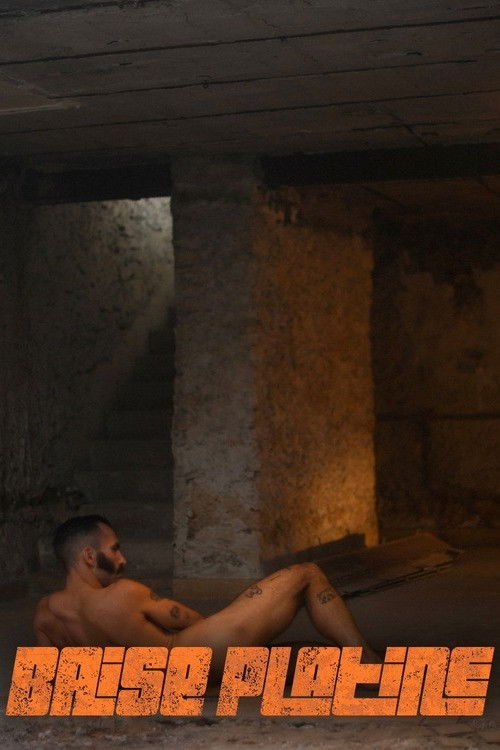 Baise platine (2025) poster