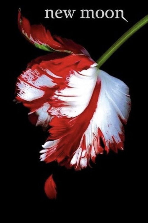 New Moon: The Journey Continues (2010) poster