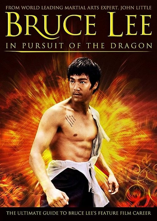 Bruce Lee: In Pursuit of the Dragon (2011) poster