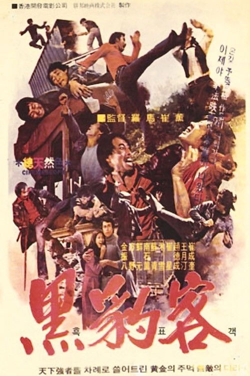 Black Guide (1974) poster
